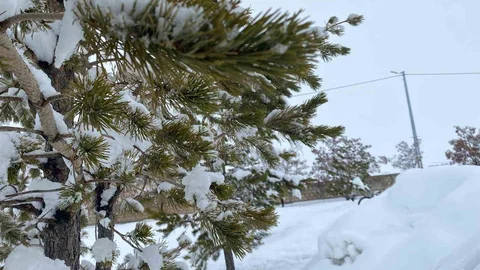 Mart ayında Ağrı’da kar yağışı etkili oldu