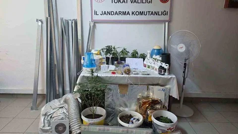 Tokat'ta Uyuşturucu Serası Operasyonu