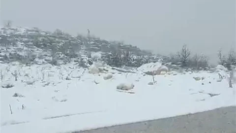 Diyarbakır’ın iki ilçesinde kar yağışı