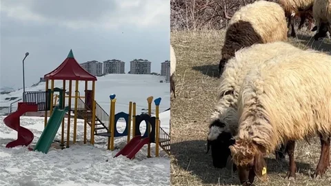 Hakkari'de İki Mevsim Yaşanıyor