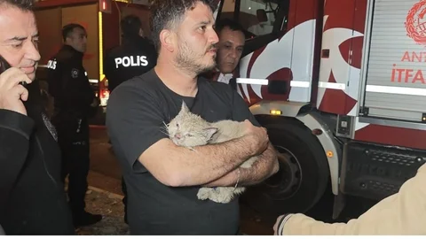Antalya'da Mahsur Kalan Kedi Kurtarıldı