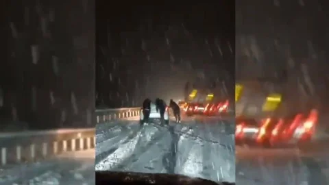 Mardin-Diyarbakır Karayolunda Kar Engeli Yaşandı