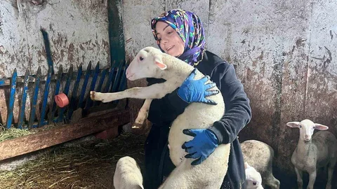 Kadın Girişimciden Örnek Proje: Koyun Yetiştiriciliği