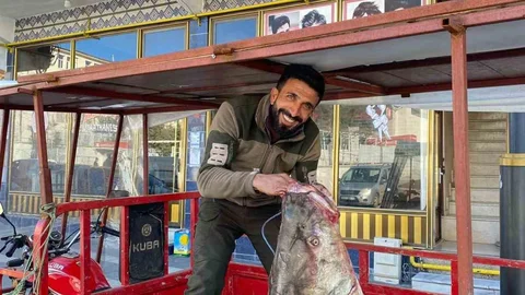 Çüngüş’te Dev Turna Balığı Yakalandı