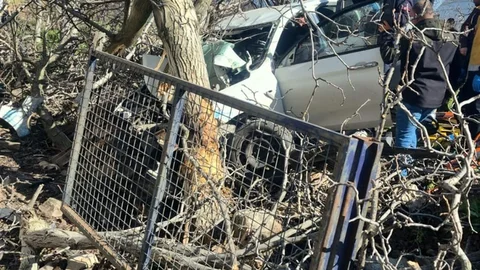 Aydın'da Kontrolden Çıkan Otomobil Ağaçlara Saplandı