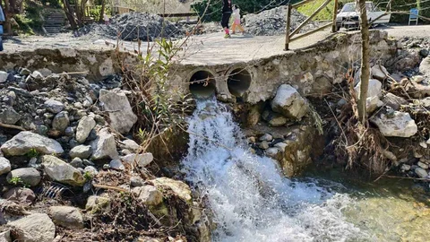 Manisa'da Mesir Tabiat Parkı'na Yoğun İlgi