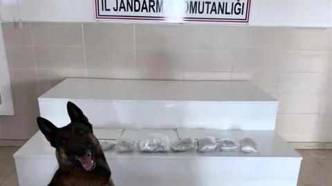 Van'da Uyuşturucu Operasyonu Yapıldı