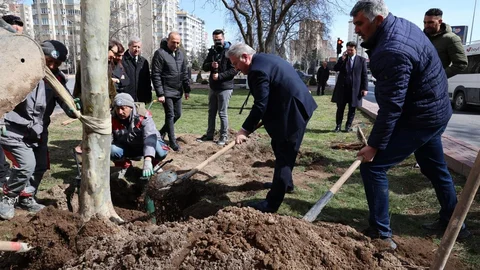 Melikgazi'de Ağaç Dikimi Başladı