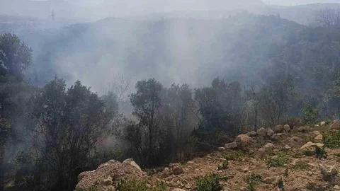 Samandağ’da Orman Yangını Kontrol Altına Alındı