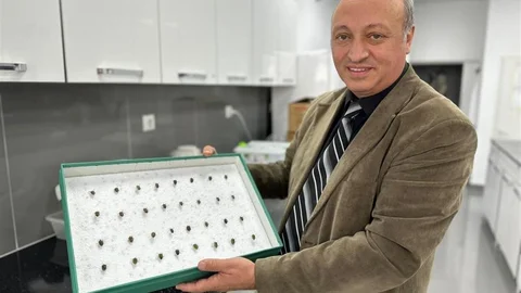 Böcekler Cinayetleri Aydınlatıyor: Samsun'da Adli Entomoloji Önemli Rol Oynuyor