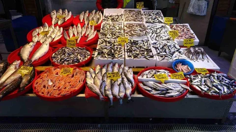 Trabzon'da Hamsi Sezonu Sona Erdi