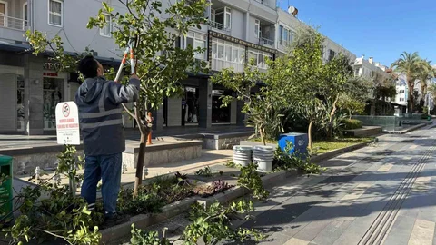 Antalya Kemer'de Peyzaj Düzenlemesi Yapıldı