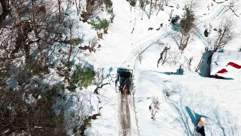 Giresun'da Karla Mücadele Devam Ediyor
