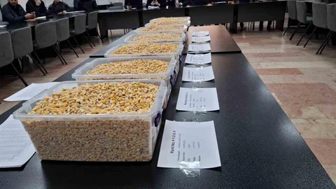 TİGEM'in Mısır Satışı Gaziantep'te Gerçekleşti