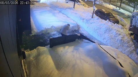 Bitlis'te Çatıdan Düşen Kar Kütlesi