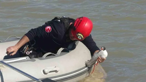 Antalya’da İtfaiye Ekipleri Martıyı Kurtardı