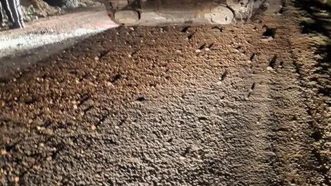 Mazıdağı'nda Trafik Kazası: 5 Yaralı