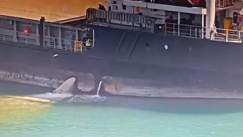 Mersin'de Deniz Kirliliğine Ceza Uygulandı