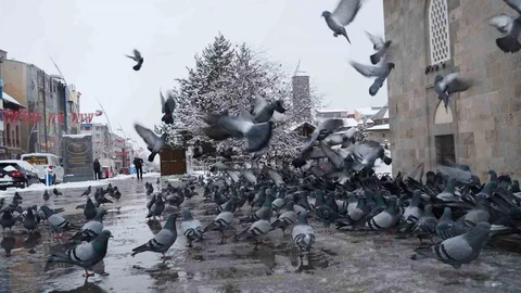 Erzurum'da Çığ ve Don Uyarısı