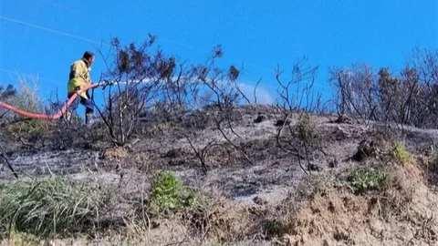 Defne'de Bahçe Yangını Kontrol Altına Alındı