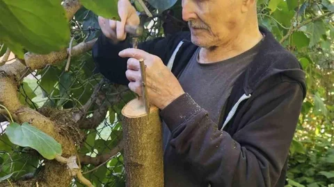 Bilecik Huzurevi Yaşlıları Bahçeyi Güzelleştiriyor