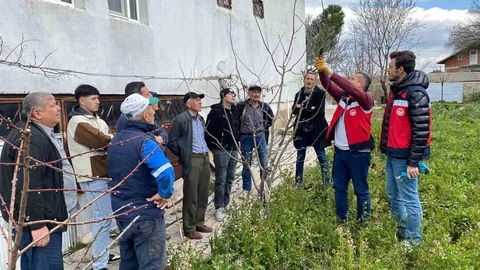 Tavşanlı'da Meyve Budama Eğitimi Verildi