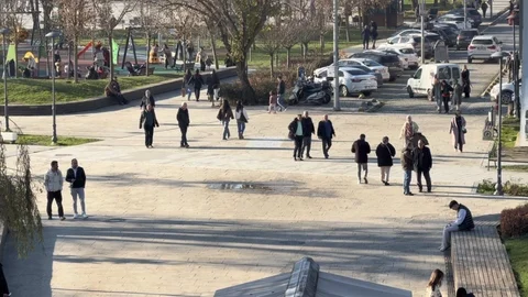 Düzce'de Domuz Gribi Vakalarında Artış Yaşanıyor