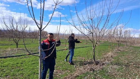 Iğdır'da Meyve Ağacı Budama Eğitimi