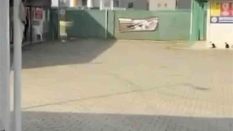 Gemlik'te Hayvanseverlerin Barınak Protestosu