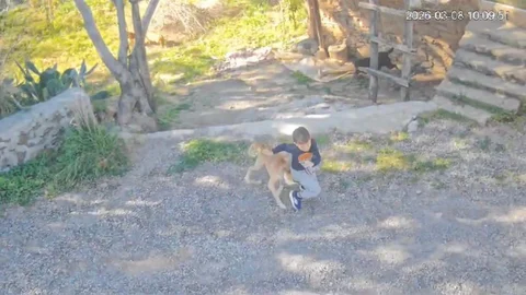 Antalya'da Çocuk Köpek Saldırısına Uğradı