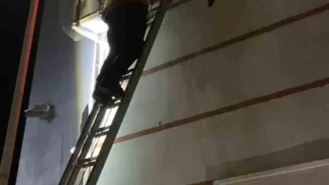 Edirne'de Yavru Kedi Kurtarıldı