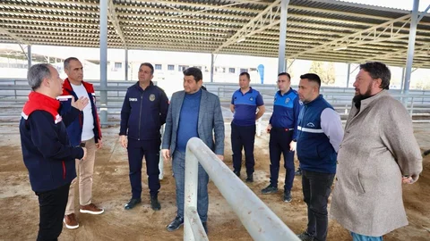 Aydın'daki Hayvan Pazarı Yeniden Açılıyor