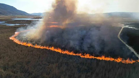 Afyonkarahisar'da Sazlık Yangını