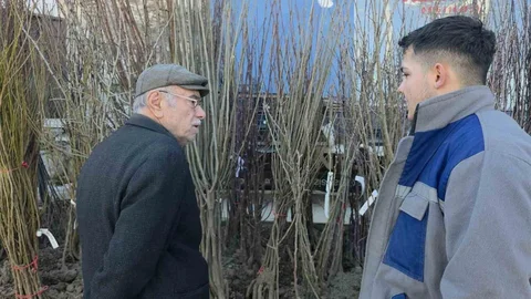Kütahya'da Fidan Satışları Artıyor