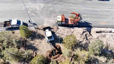 Kayseri'de Ağaçlar Naklediliyor