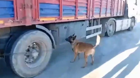 Şanlıurfa'da Narkotik Operasyonu