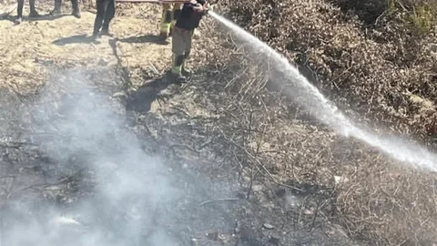 Samandağ'da Bahçede Yangın Söndürüldü