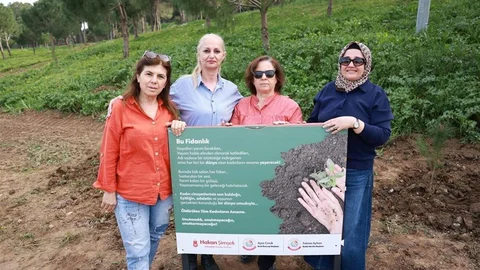 Kadın Cinayetleri Anısına Fidan Dikimi Yapıldı