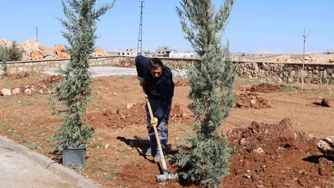 Yukarıgöklü Kent Parkı Ağaçlandırılıyor