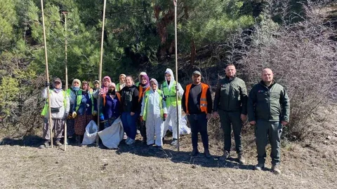 Sinop Ormanlarında Biyolojik Mücadele