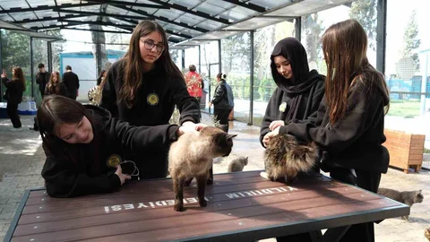 Gençlerden Hayvan Bakımevi'ne Ziyaret
