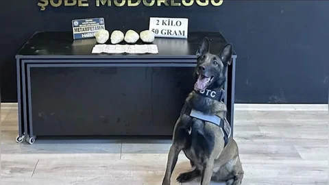 Jardi, Osmaniye'nin Başarılı Narkotik Köpeği