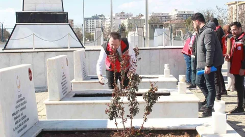 Siirt'te Şehitliklerde Bakım Çalışmaları