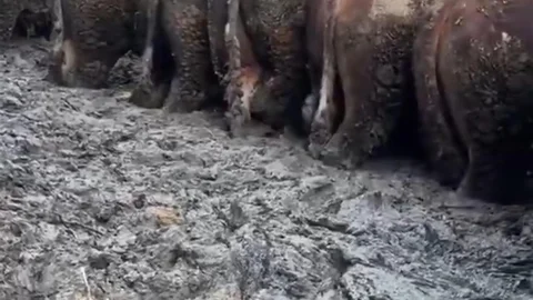 Konya'da Hayvancılık İşletmesine İnceleme Başlatıldı