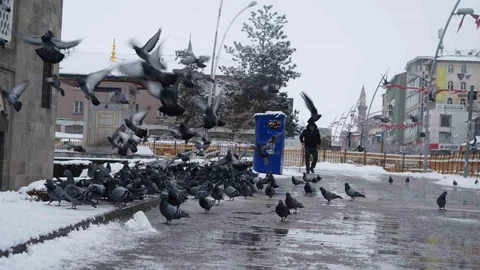 Erzurum'da Kar Yağışı Bekleniyor