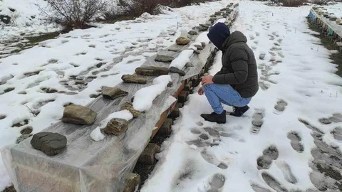 Batman'da Arıcılık Faaliyeti