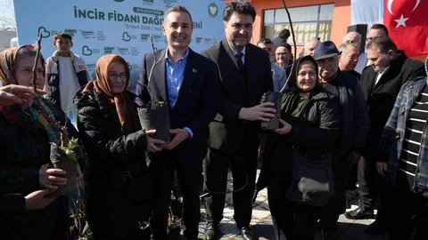 Havran'da İncir Fidanı Dağıtımı Yapıldı