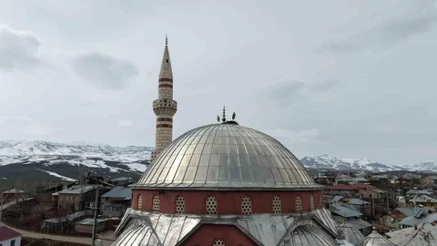 Muş Ovası’nda Leylek Göçü Başladı