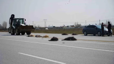 Muş'ta Keçi Sürüsüne Çarpma Kazası