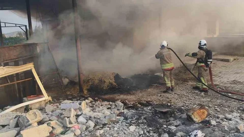 Antakya'da Odunluk Yangını Kontrol Altına Alındı